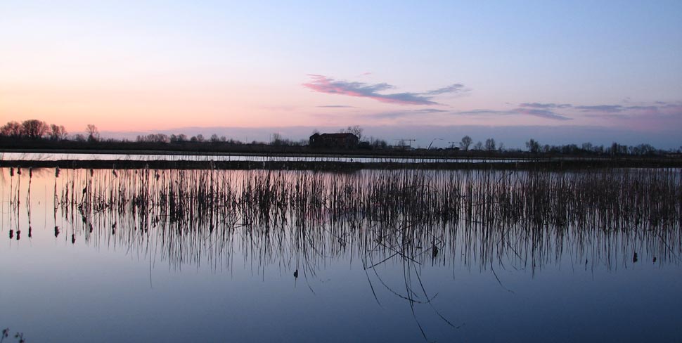 foto M. Pegorer