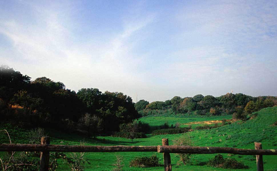 Il paesaggio naturale (Foto J. Cecere)