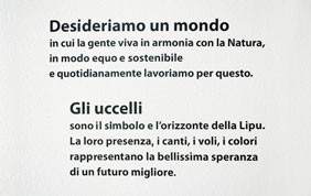 Lo statuto