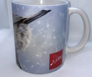 Tazza Cincia