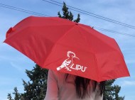 Ombrello pieghevole Lipu